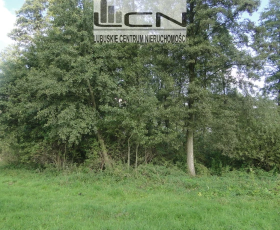 Działka na sprzedaż, Gralewo - 59 000 zł